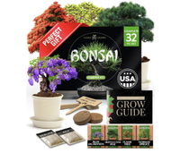 Home Grown Store  Bonsai Tree Kit