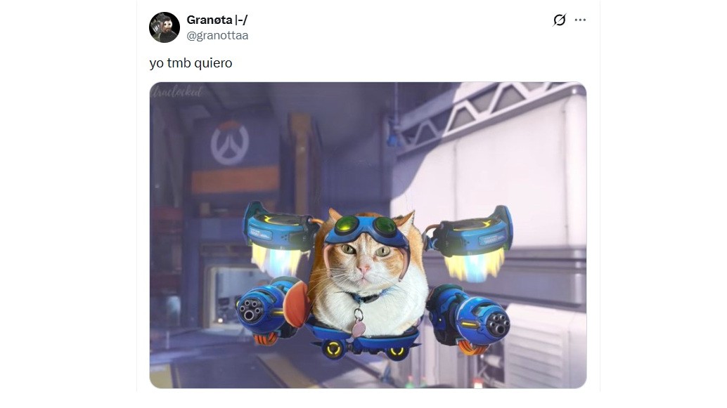 Cat on a jetpack powered vehicle