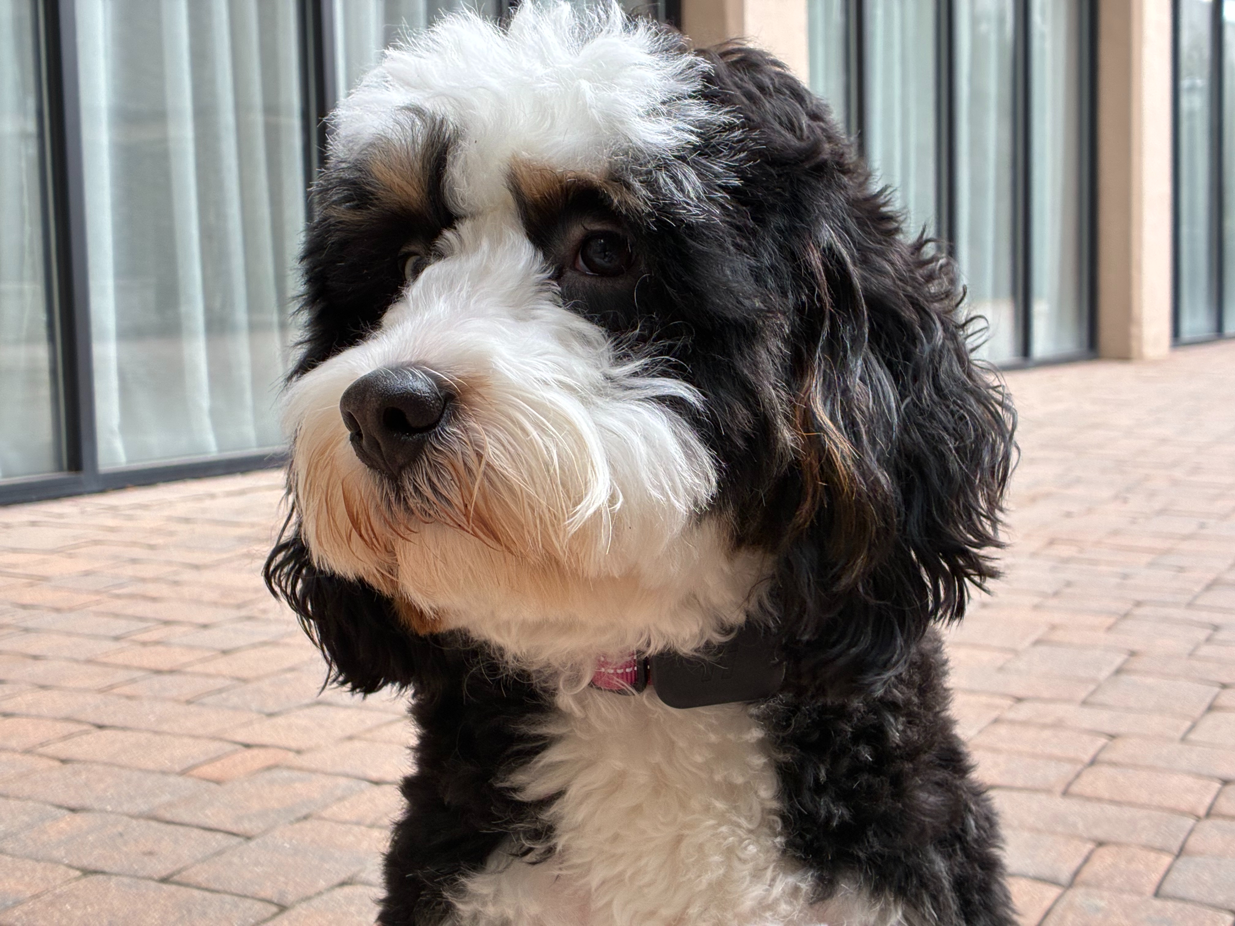 Apple iPhone 17e Review Camera Samples