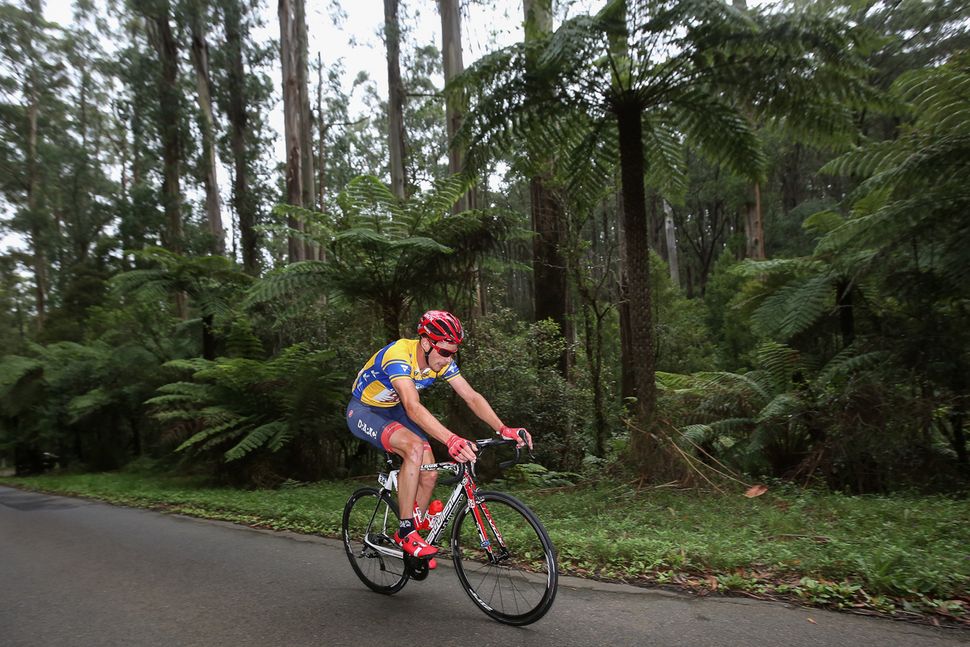 Jayco Herald Sun Tour 2016 Stage 1 Results Cyclingnews