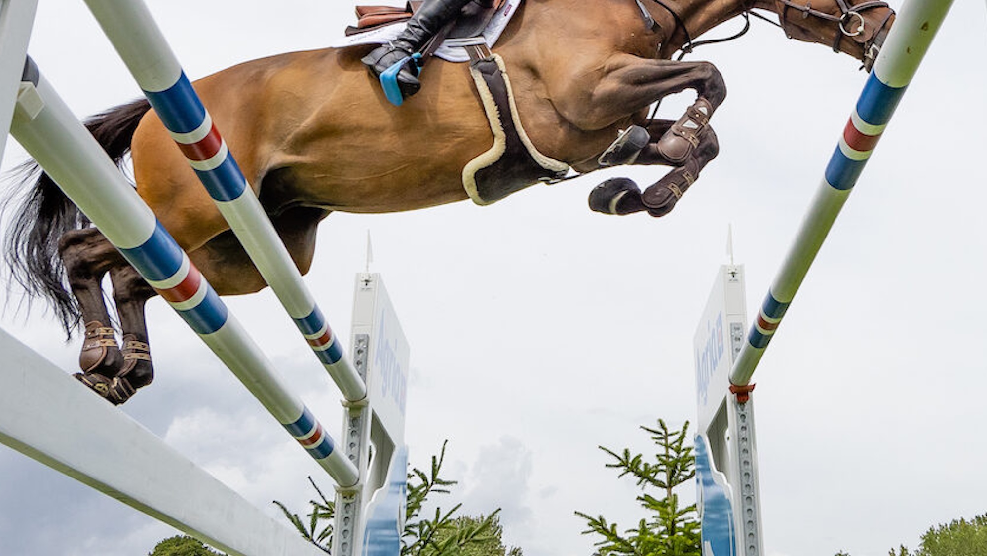 A shot of a horse and rider jumping a big oxer from underneath