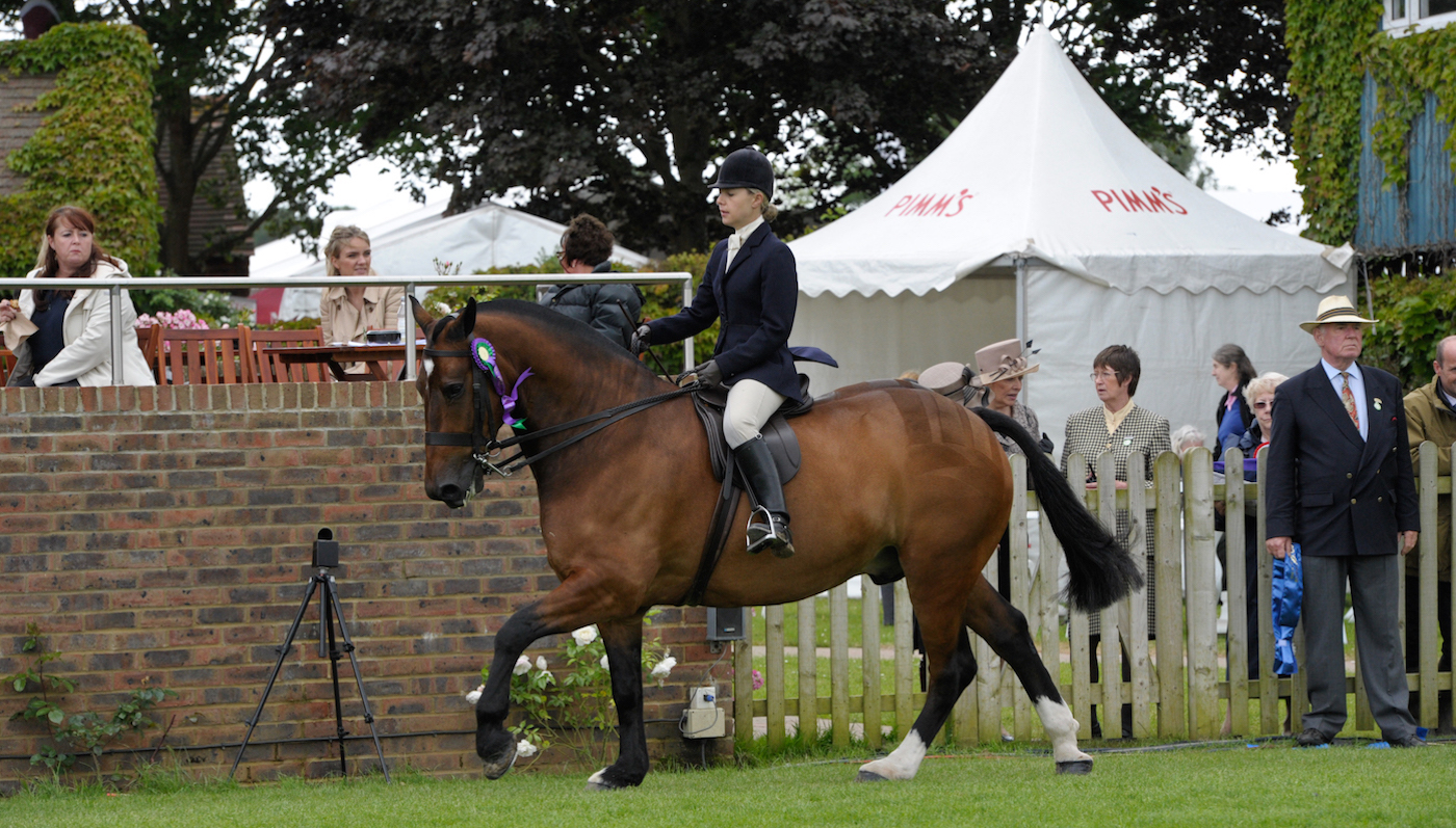 DSC8975-1.jpg