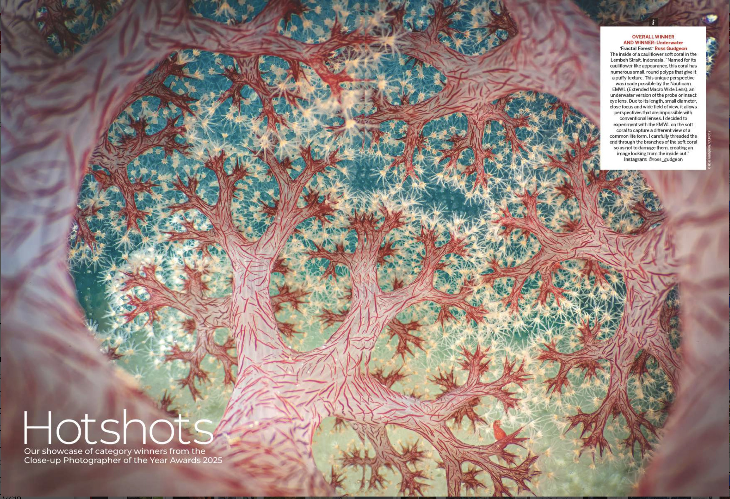 Image showing the first two pages of the Hotshots gallery in issue 306 (Spring 2026) of Digital Camera magazine, showcasing category winners from the Close-up Photographer of the Year 7 (2025) awards