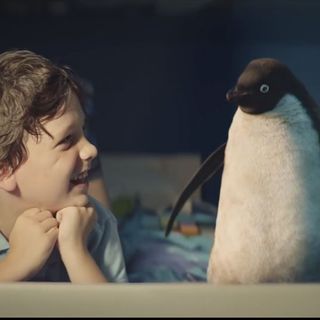 smiling kid with penguin