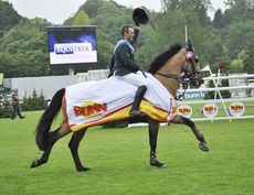 Hickstead Derby Meeting 2013