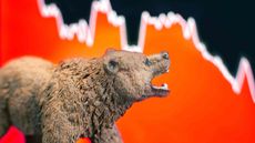 A bear against a red, declining stock market chart