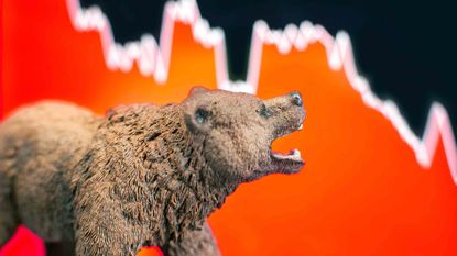 A bear against a red, declining stock market chart
