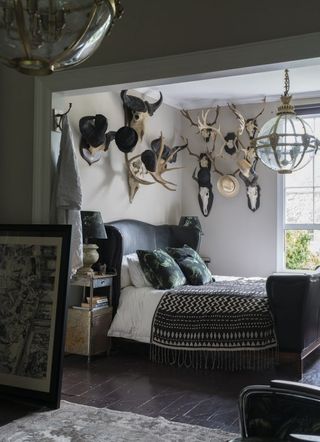 gallery wall ideas with wall of animal skulls