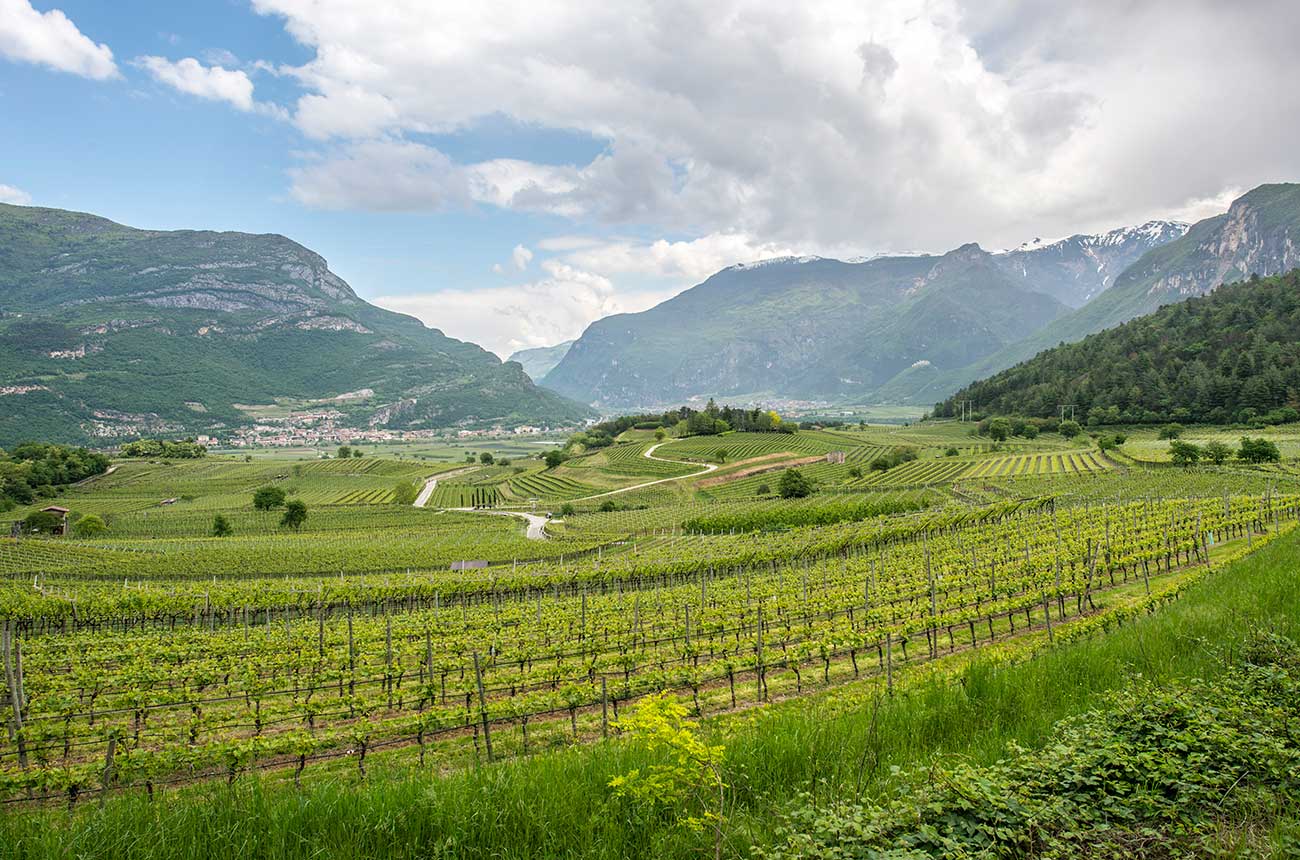 wine estate for sale in Trentino-Alto Adige