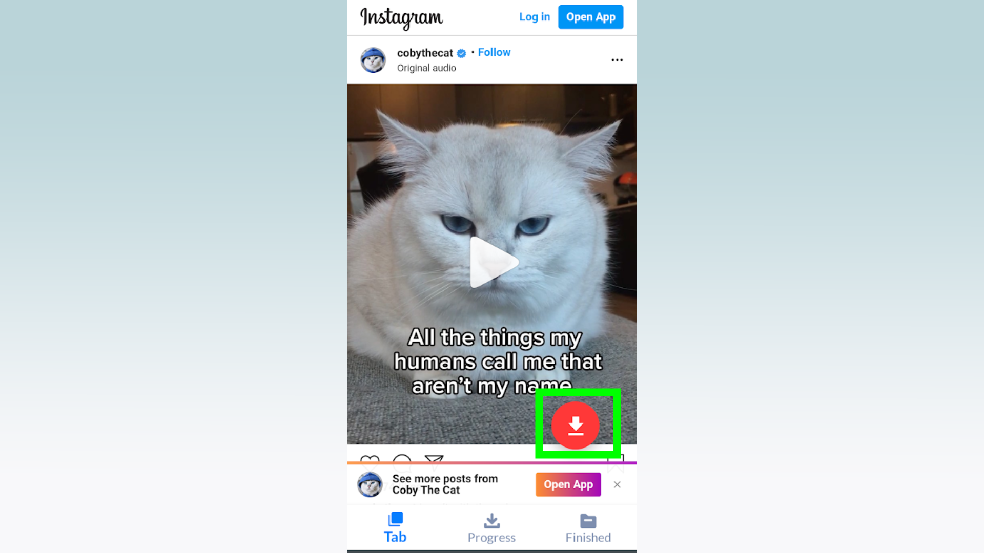 Как скачать Instagram Reels - скриншот кнопки загрузки, выбранной в приложении Video Downloader