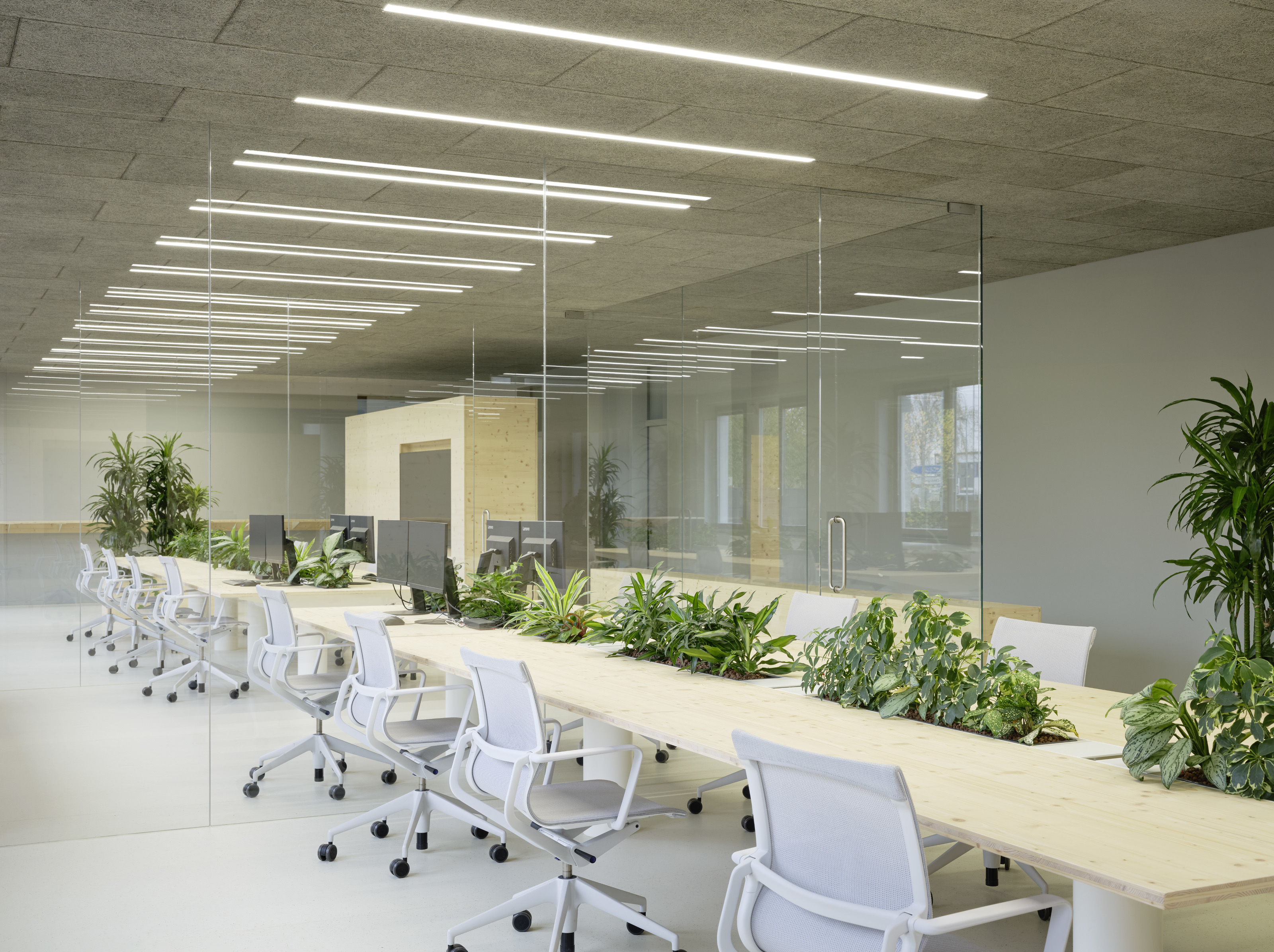 The main work space is bisected by a clear partition