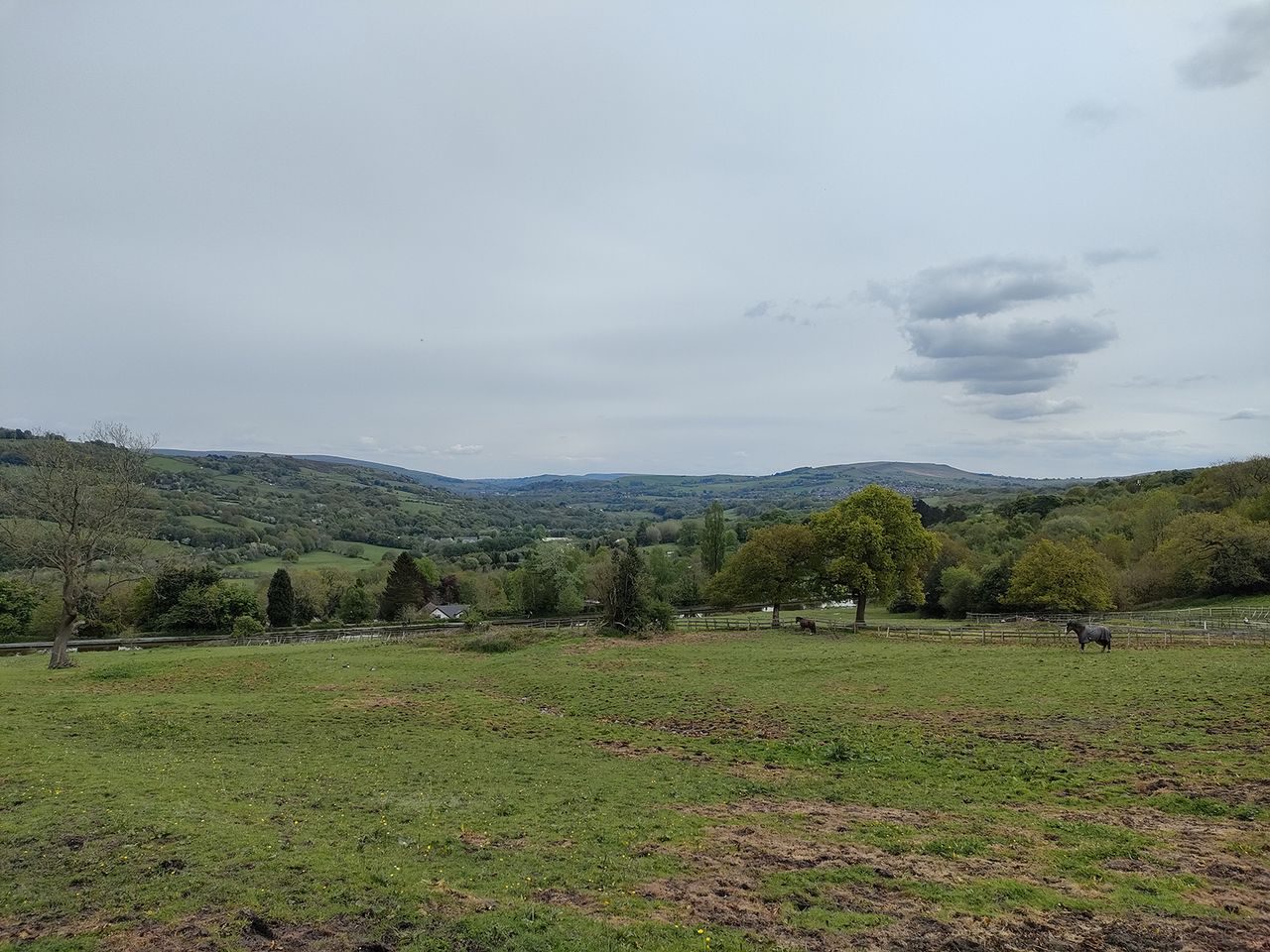 Oppo Find X3 Lite camera sample