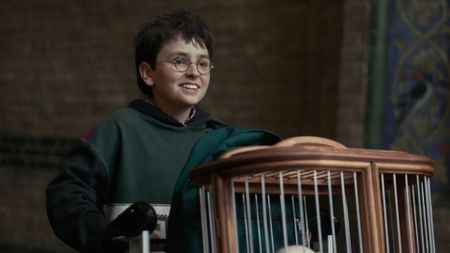 Dominic McLaughlin as Harry Potter in HBO's Harry Potter TV show