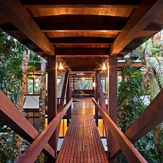 wooden tree house with pathway and surrounding rainforest