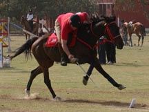 tent_pegging.jpg