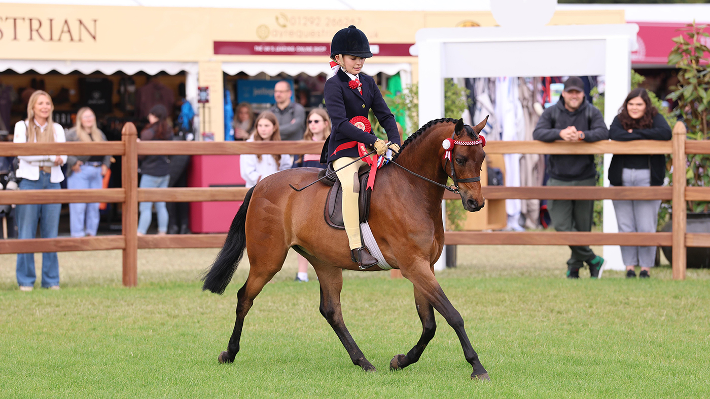 Izzy Walker riding the winner of the 138cm novice show pony class, Helen Davies&amp;rsquo; Wadacre Tigger, who went on to stand novice show pony champion at Royal Windsor Horse Show
