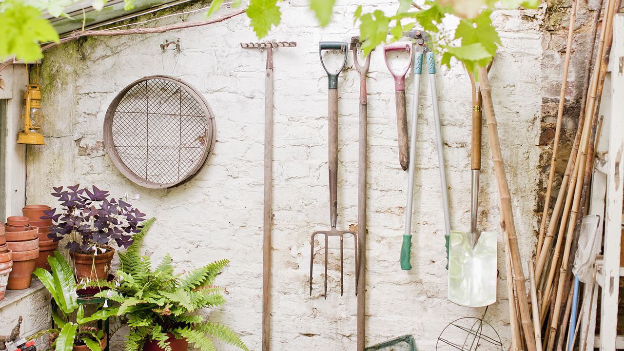 Tools hanging on wall of garden shed