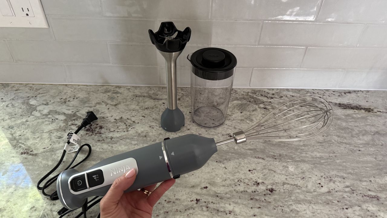 Ninja Power Duo Immersion Blender with Whisk
