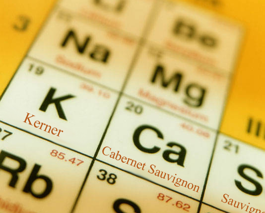 Periodic table of wine