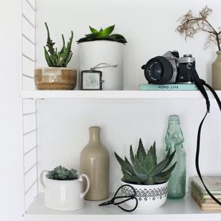 White shelf with decorative planters, vases, and camera displayed on top