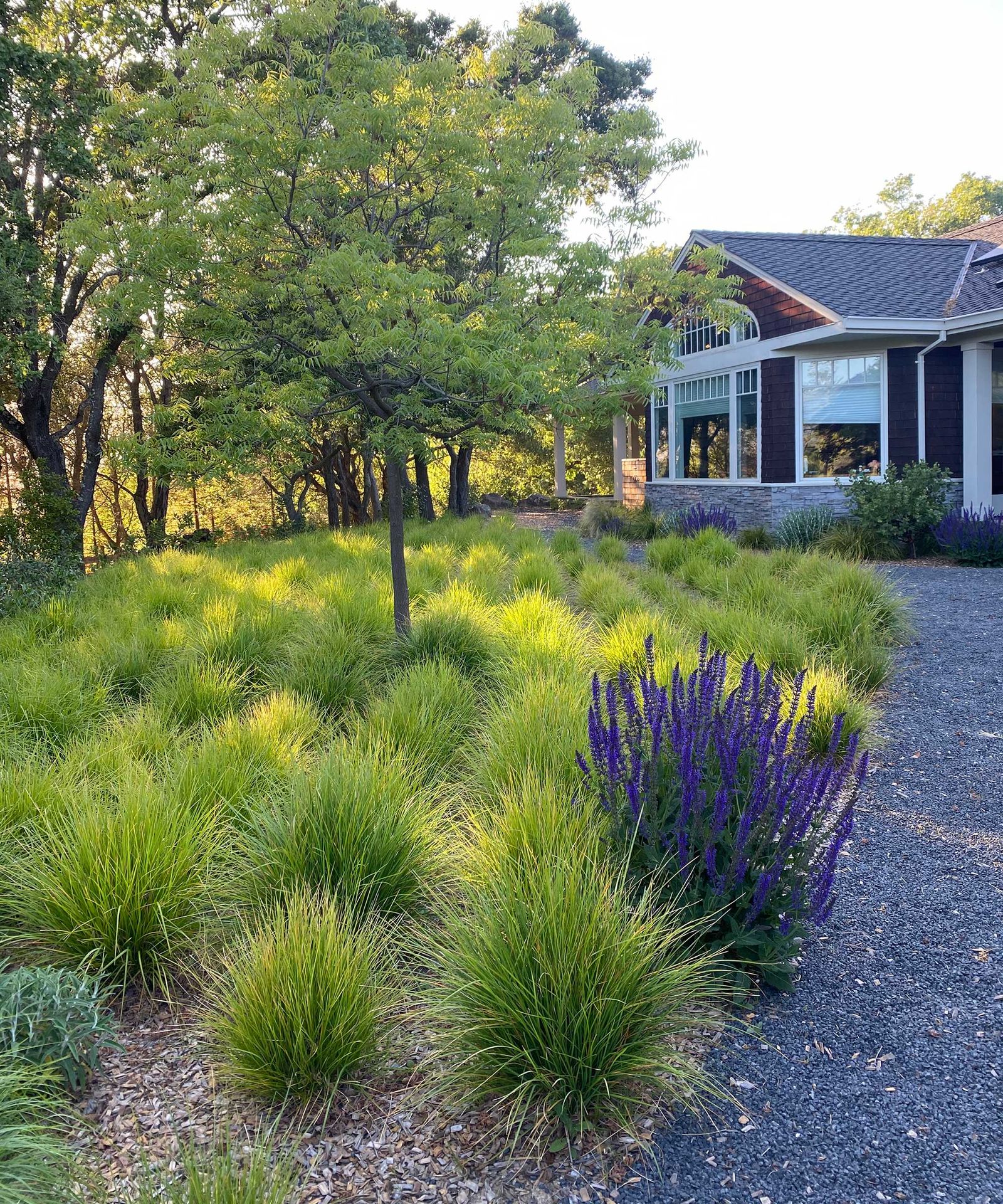 10 low-maintenance xeriscape ideas to recreate at home | Gardeningetc