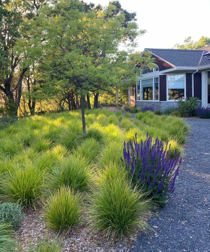 10 low-maintenance xeriscape ideas to recreate at home | Gardeningetc