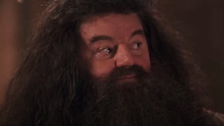 Robbie Coltrane as Hagrid in Harry Potter and the Chamber of Secrets