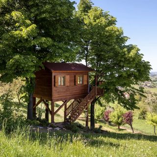 valley with wooden treehouse and green trees