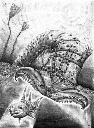 The ancient Bobbit worm highlights gigantism during the Paleozoic era.