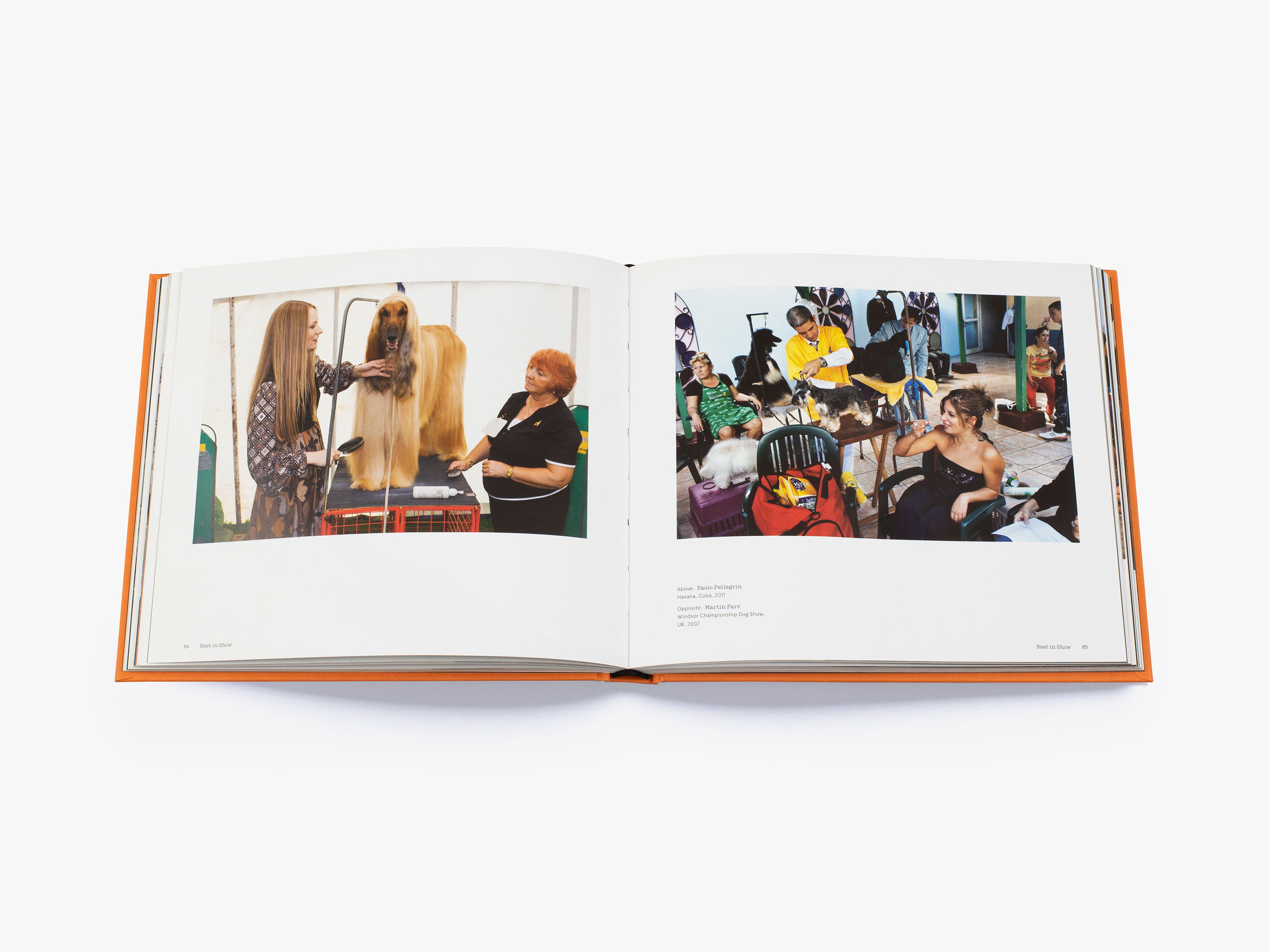 Magnum Dogs book March 2021 image 4