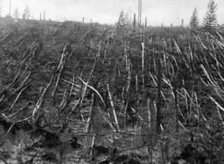 A mysterious blast in 1908, thought to have been caused by a meteor, flattened a Siberian taiga forest. This photo was taken in 1938, during an expedition by Russian mineralogist Leonid Kulik, investigating the event.