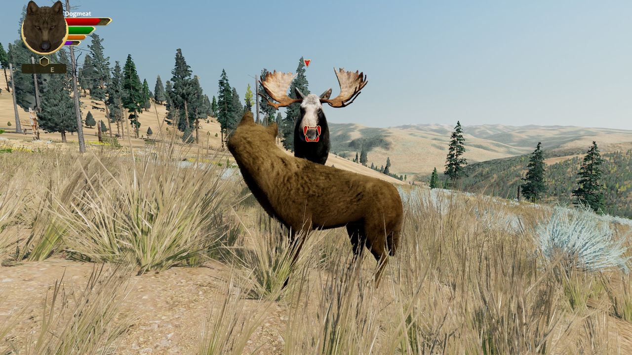 WolfQuest wolf simulation game