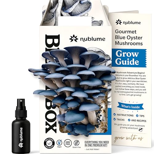 Bloombox Blue Oyster Mushroom Grow Kit &amp;ndash; Spray &amp;amp; Grow &amp;ndash; Pre-Inoculated Indoor Mushroom Farm &amp;ndash; Beginner Friendly &amp;ndash; Harvest Fresh Gourmet Mushrooms in Days &amp;ndash; Perfect Gift
