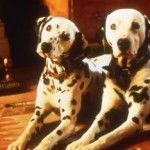 101 Dalmatians