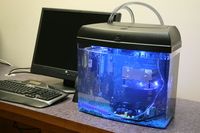 Soak Your PC in Mineral Oil: Puget Systems Announces DIY Aquarium ...