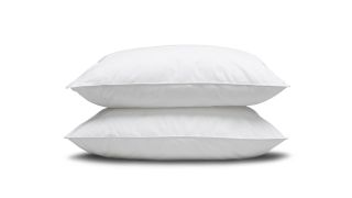 pillow size guide: Two pillows