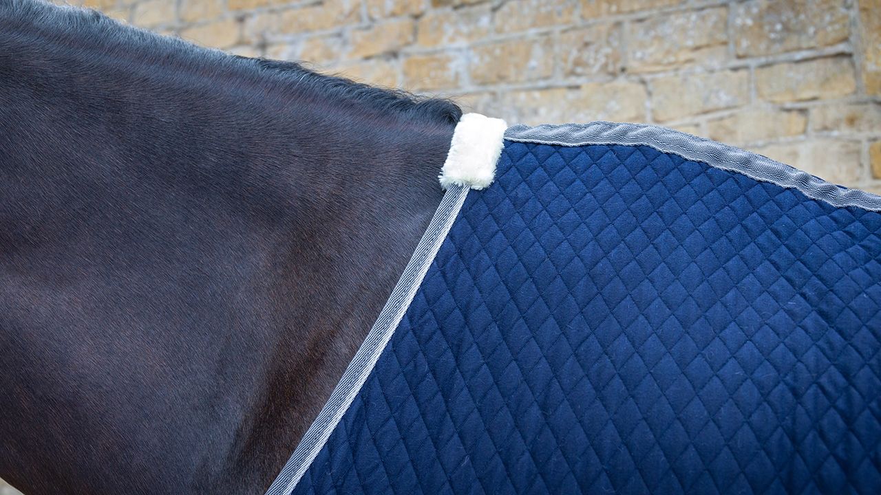 WeatherBeeta Thermic Quilt standard neck cooler review