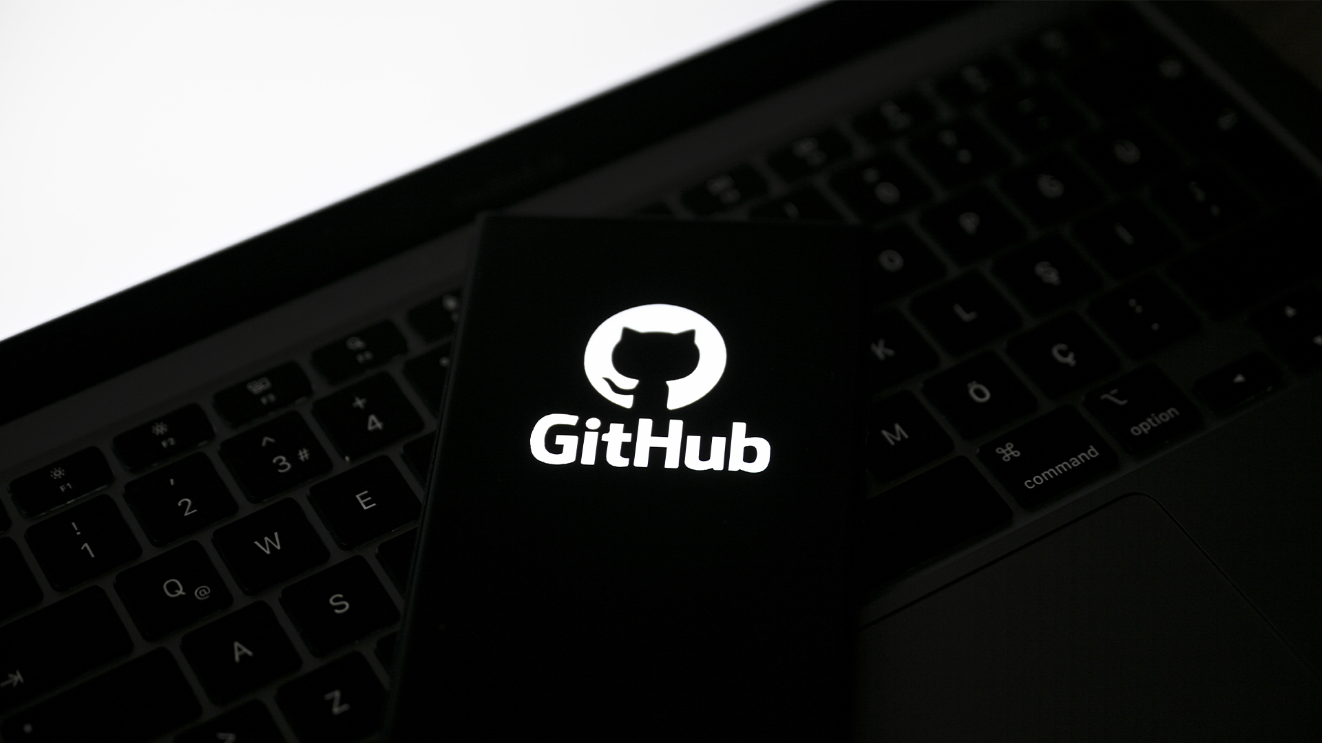 GitHub logo and branding pictured against a mixed black and white background with cat logo. 