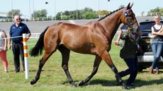 Cue-Card-21-copy.jpg