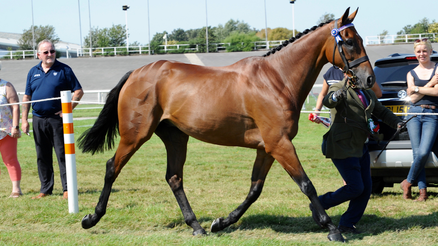 Cue-Card-21-copy.jpg