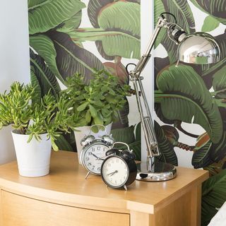 alarm clock potted plant and lamp on table