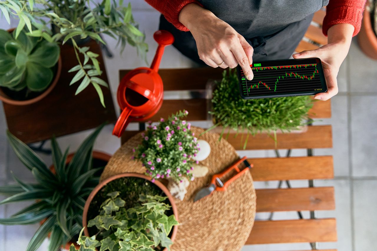 Businesswoman on mobile app in garden