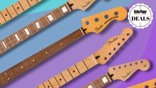 A variety of Fender replacement necks on a colorful background