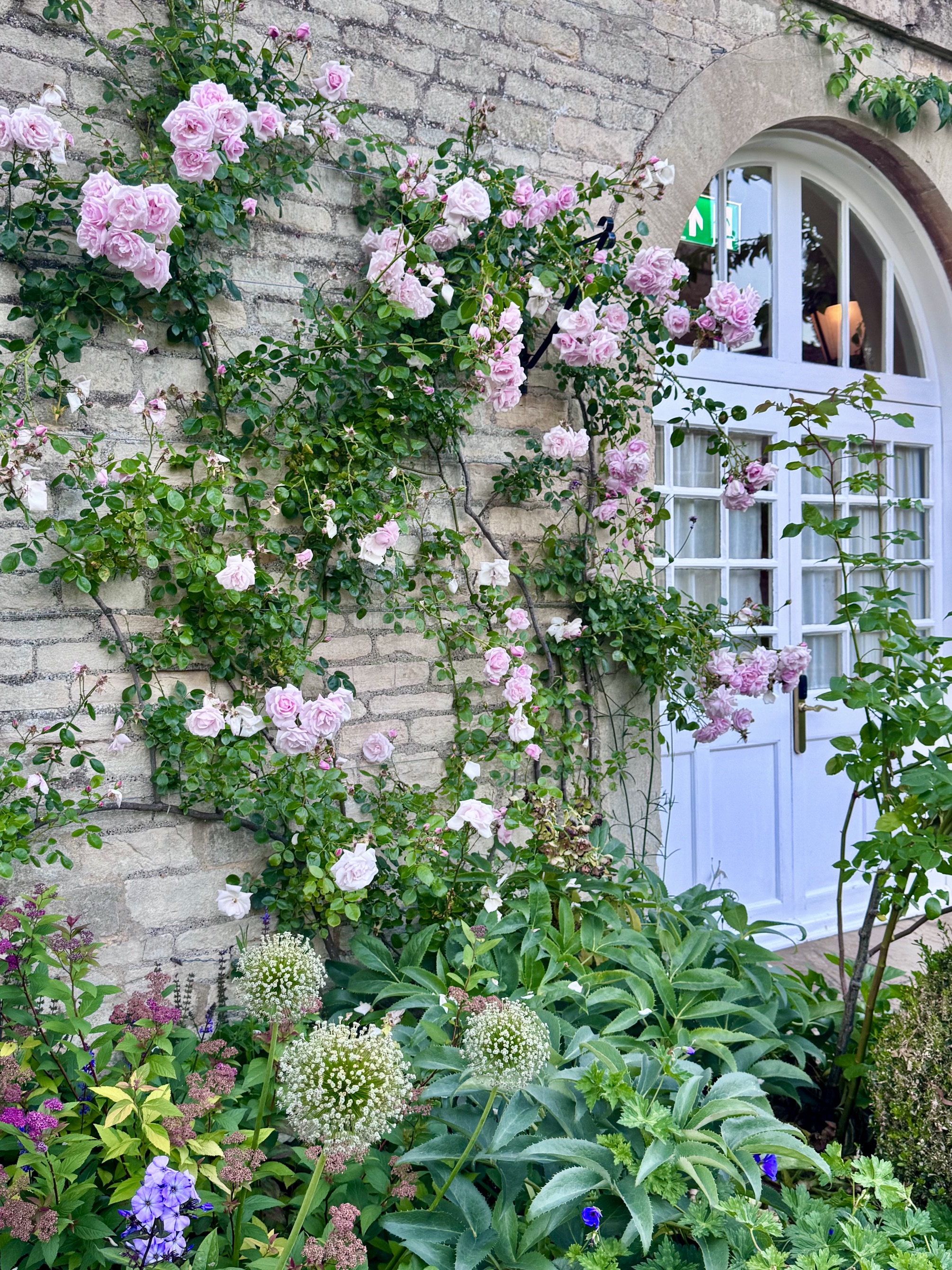 Pink roses growing up the outside of Lucknam Park hotel