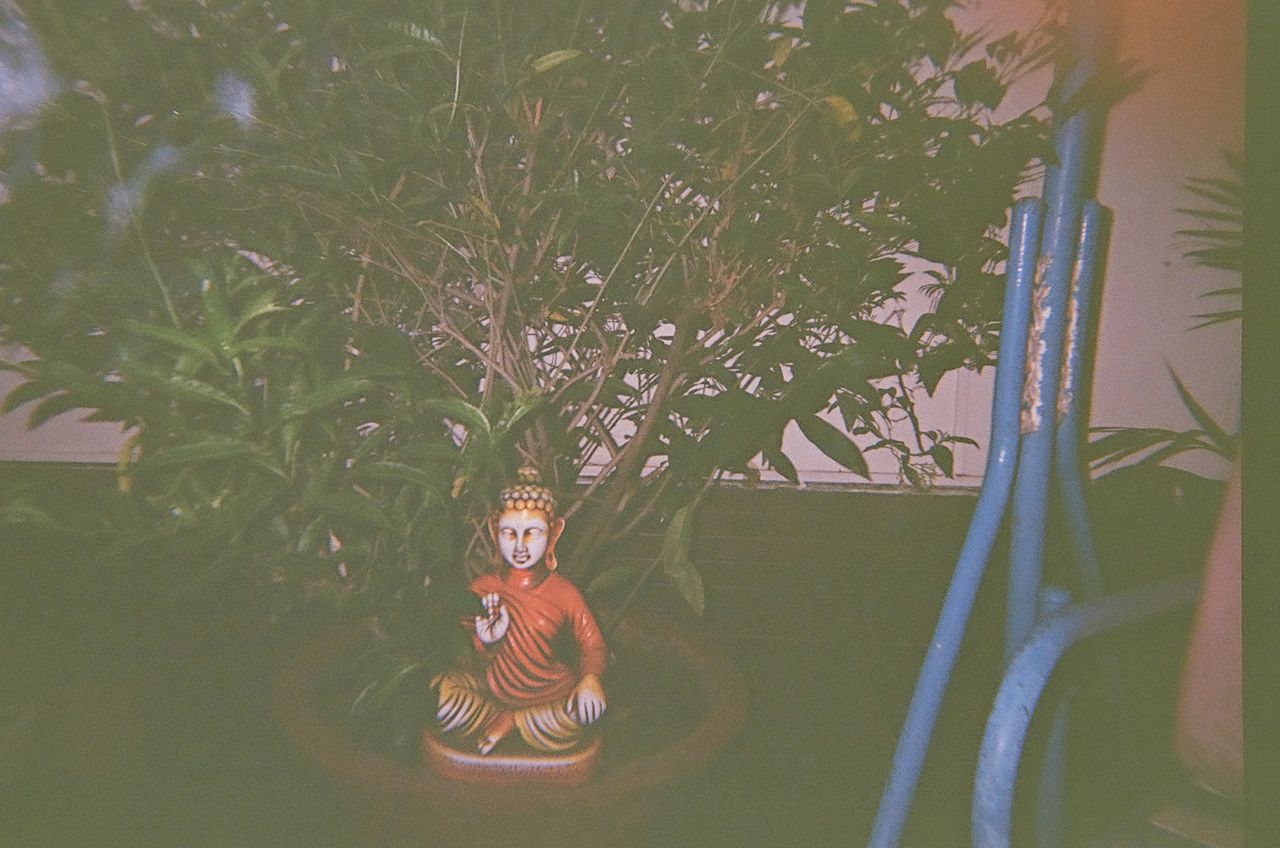 A photo taken on a Lomography Simple Use Reloadable Film Camera Classicolor film camera