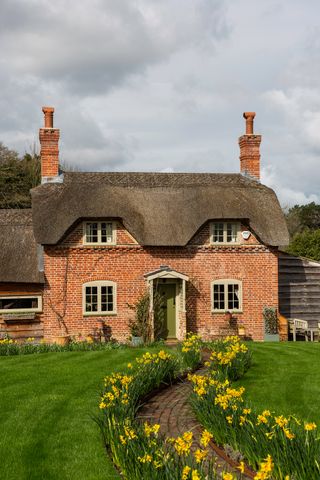thatched cottage with daffodils within the garden borders