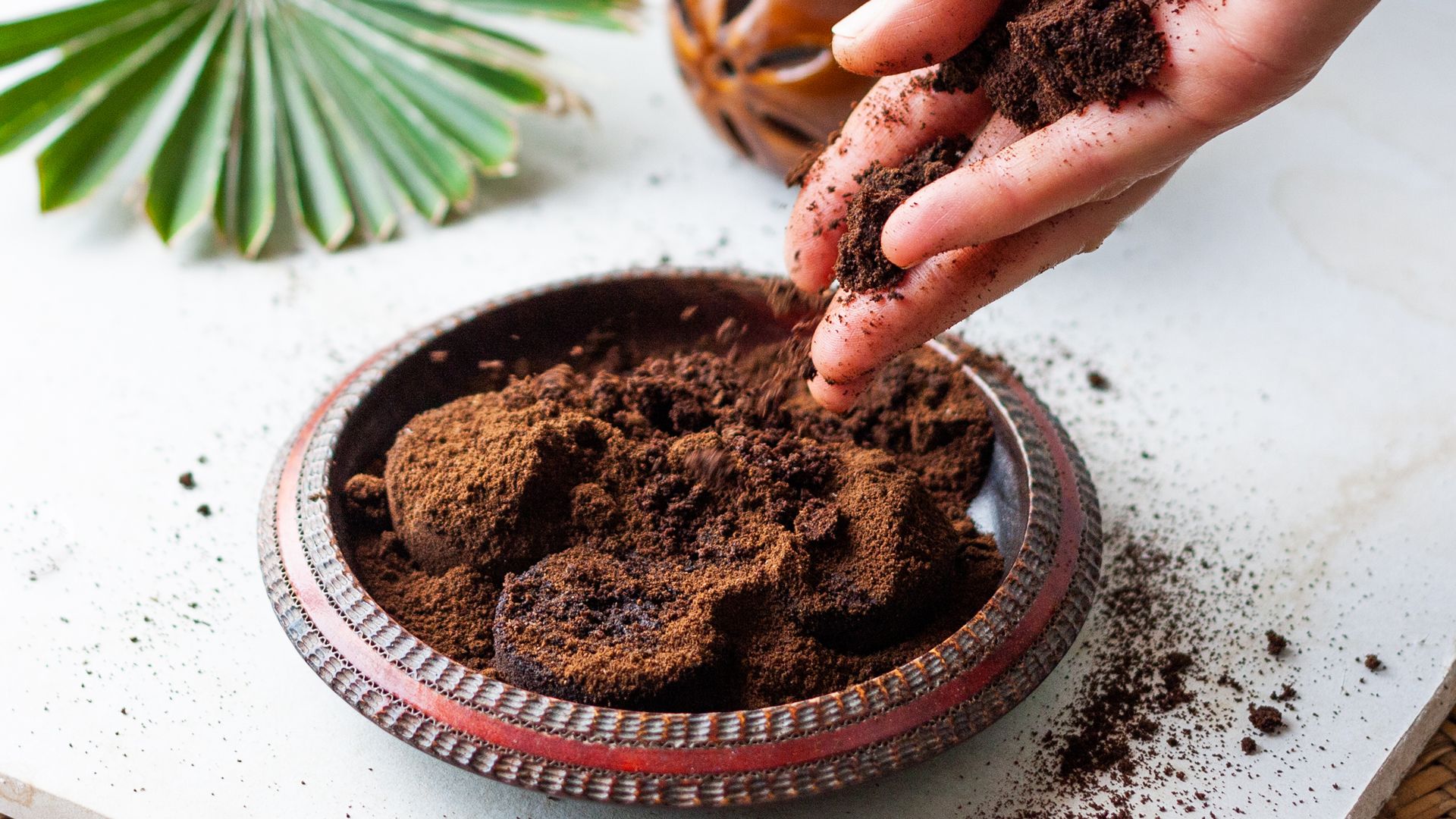 coffee grounds in a wooden bowl as a suggestion for how to keep wasps away