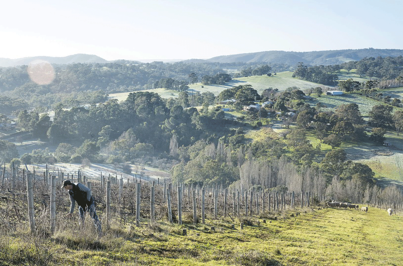 Toby-Bekkers-Peake-Gillard