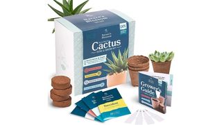 Nature's Blossom succulent and cacti seed starter kit