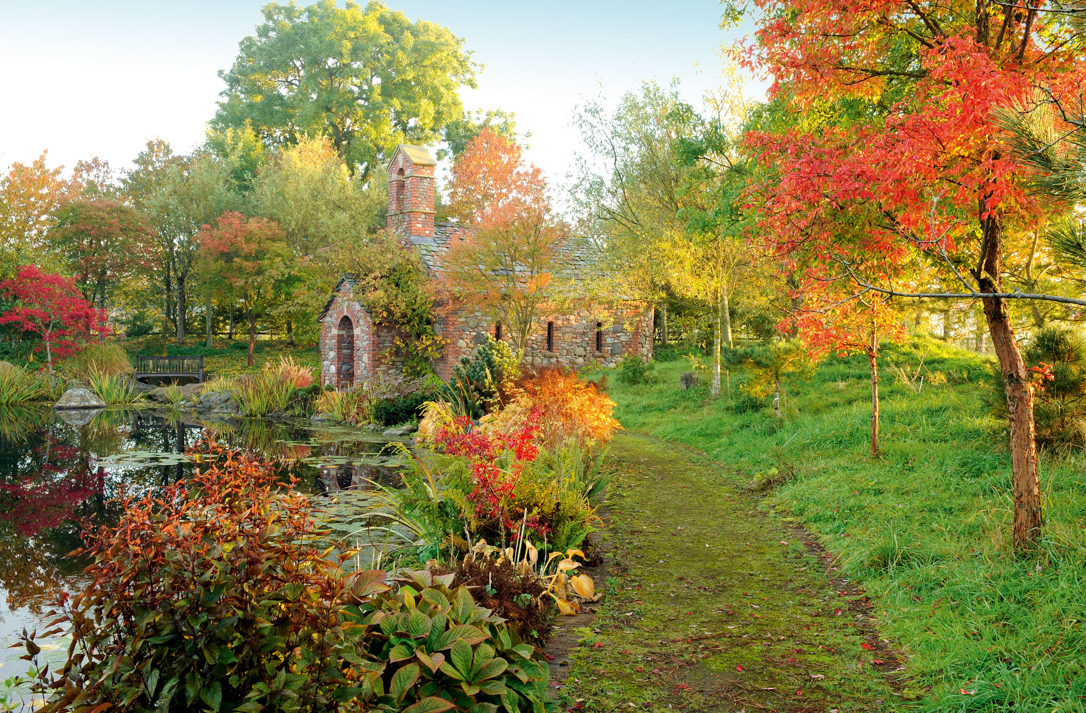 Autumn colour over the lake, with Acer trifolium on the right. Larch Cottage, Cumbria. ©Val Corbett for Country Life